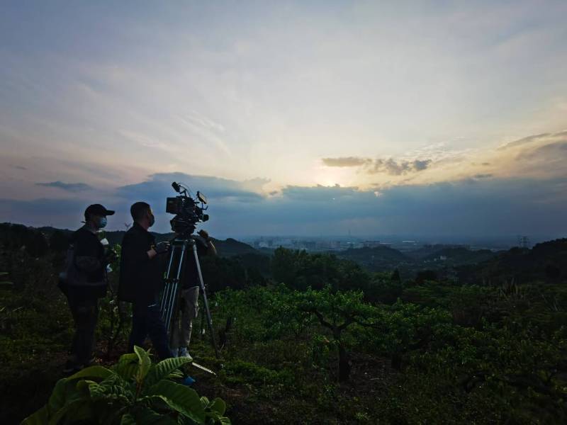 聚焦临夏市产品宣传视频拍摄公司，用专业实力铸就品牌传播传奇