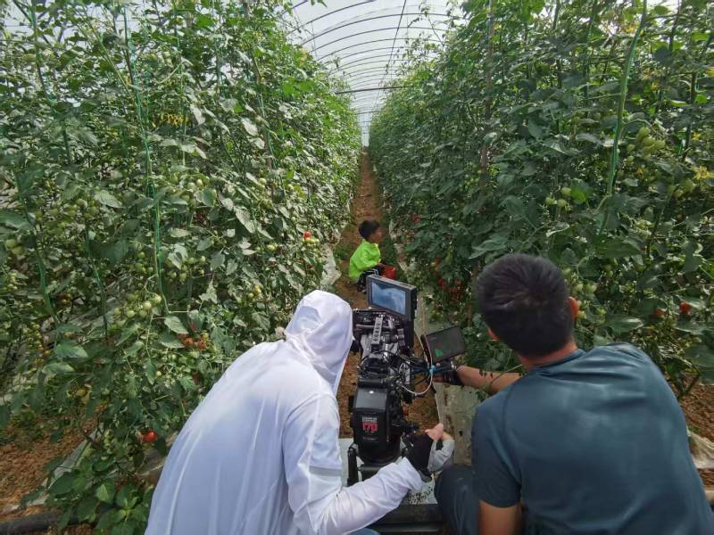 临夏市产品宣传视频拍摄公司进阶指南，助力品牌抢占传播高地